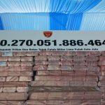 Rp10 Triliun Hasil Penertiban Kawasan Hutan Bakal Dialihkan untuk Perbaikan 5.000 Puskesmas IMG_20260513_222534